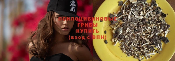 МДПВ Армянск