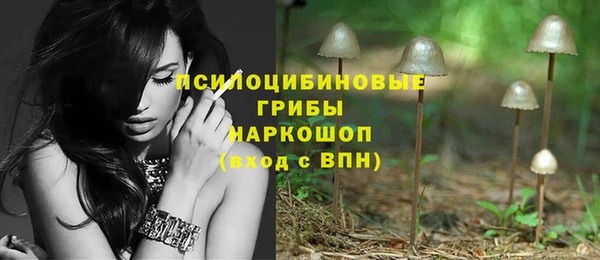 МДПВ Армянск